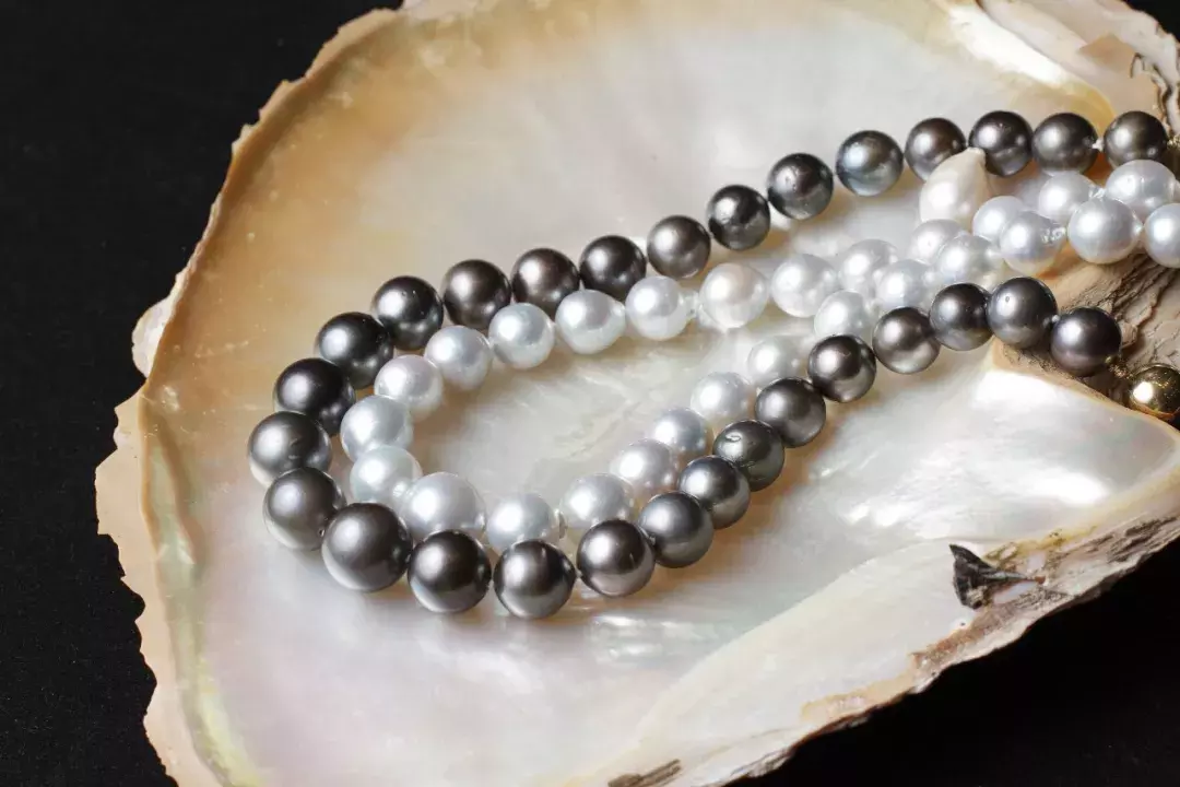 贝类孕育的神秘宝石——珍珠  第2张