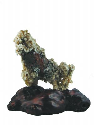 大漠的石头很美丽：石破天惊形态奇异  第2张