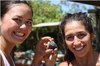 澳大利亚男子散步捡到巨型蓝宝石：重753克拉  第2张