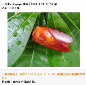 玉石鉴定师解答提问语言幽默  第1张