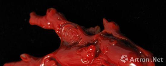 火眼金睛：辨别真假红珊瑚