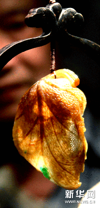 冯志文雕刻翡翠精品（图）  第5张