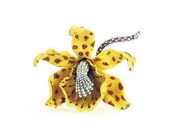 灰褐色翡翠原石大自然的设计师  第3张