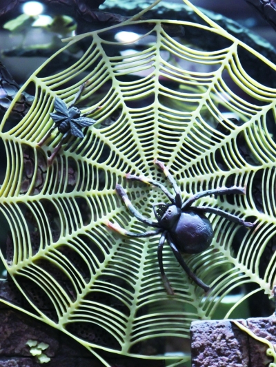 巧夺天工雕琢成绝伦的璞玉艺术珍品  第2张