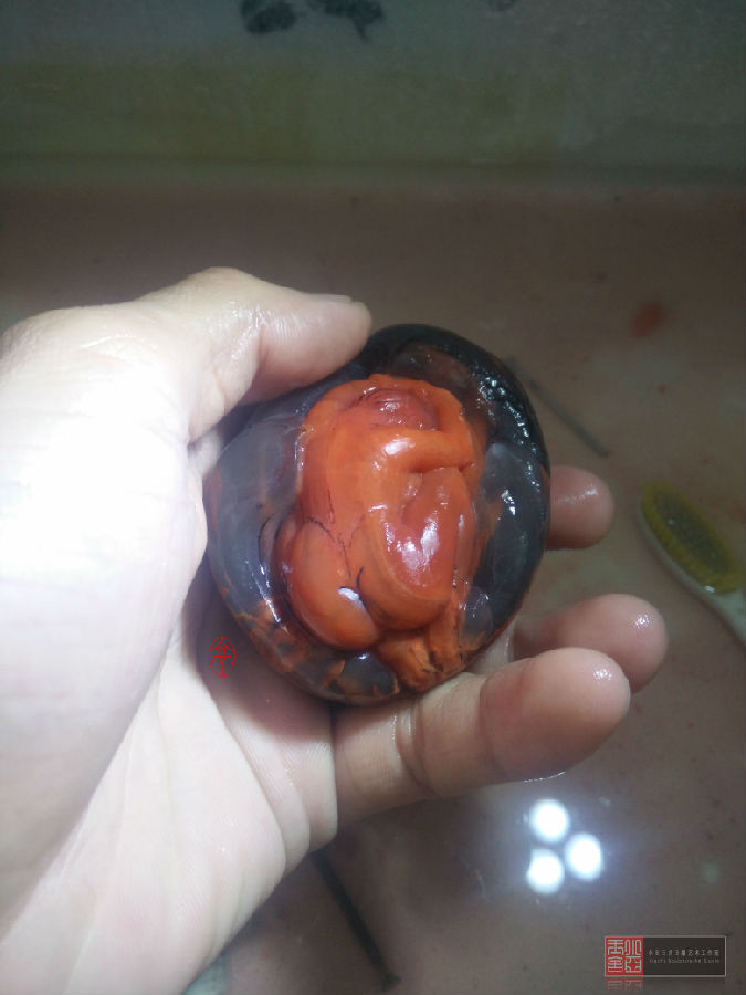 【小亚玉舍】作品跟踪--含苞欲放  第4张