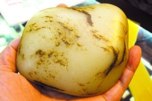 寻宝上海和苏州古玩玉器市场  第2张