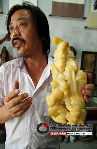 浏阳收藏店里石头长黄须 毛发会长长还会变硬  第3张