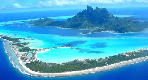 谁说黑珍珠只有黑色？明明是生活中行走的彩虹  第2张