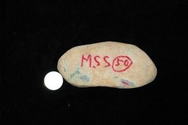 《翡翠收藏入门百科》之原石的蟒与癣  第3张