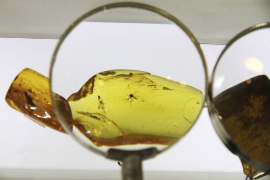 琥珀之路上的波兰(图)  第3张