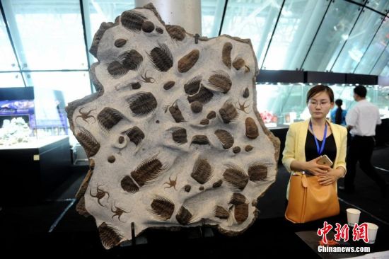 第三届矿博会开幕：各国珍宝亮相湖南郴州  第3张