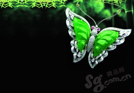 精纯美人如玉 风情夏日清凉  第2张