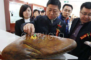 “天价”和田玉与缅甸翡翠苏州争艳  第6张