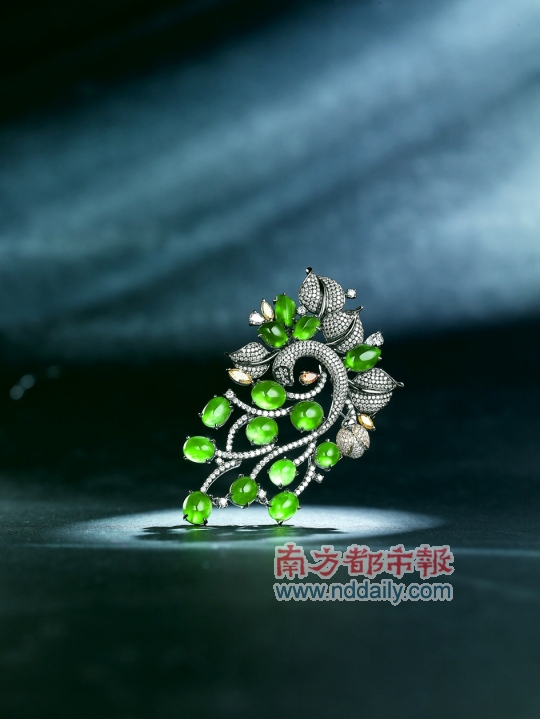 翡翠de新潮面 造型多元化已成为时尚宠儿  第3张