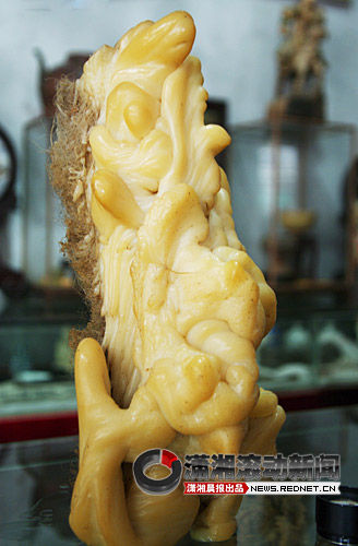 浏阳收藏店里石头长黄须 毛发会长长还会变硬  第2张