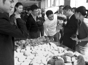 1000元赌石瞬间升值百倍  第2张