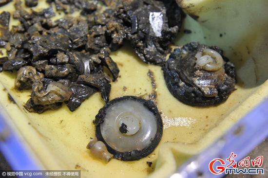 西汉海昏候墓再现30多文物 孔子屏风另一部分出土  第3张