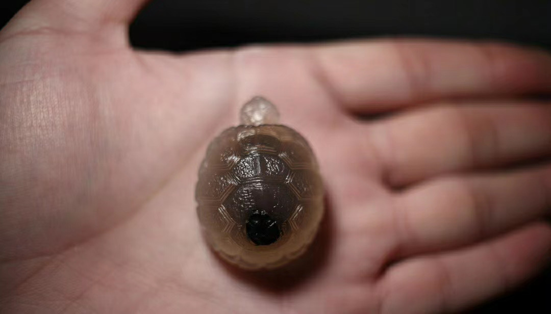 阿拉善沙漠上的糖心玛瑙，雕刻之后太有意思了，真想一口吃掉  第5张