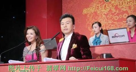 评点春晚主持服饰 董卿巨型耳钉PK周涛翠玉镯【组图】  第9张