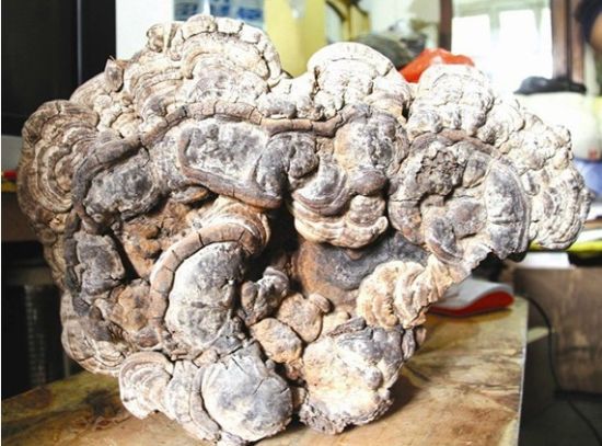 荆州男子收藏宝贝频见报端(图)  第2张