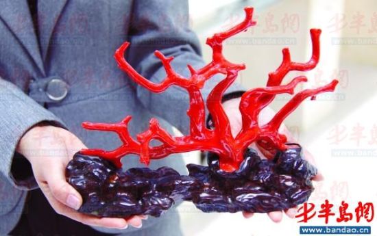 藏友2万元买到染色假珊瑚(图)  第1张