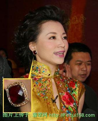 评点春晚主持服饰 董卿巨型耳钉PK周涛翠玉镯【组图】  第3张