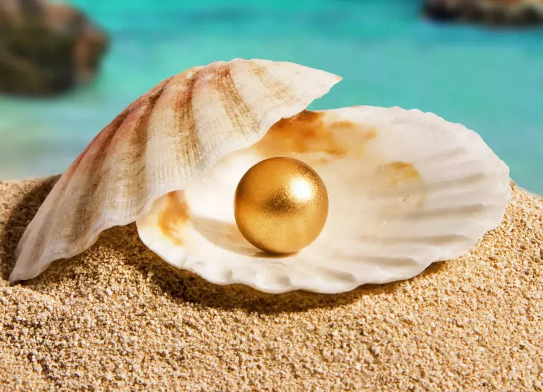 贝类孕育的神秘宝石——珍珠  第7张