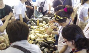 人造玉石加工工艺众人赌石 珠宝商四天卖出三百多块原石  第1张