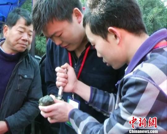B货翡翠手镯图片南京赌石节 市民千元博得万元翡翠石(图)  第2张