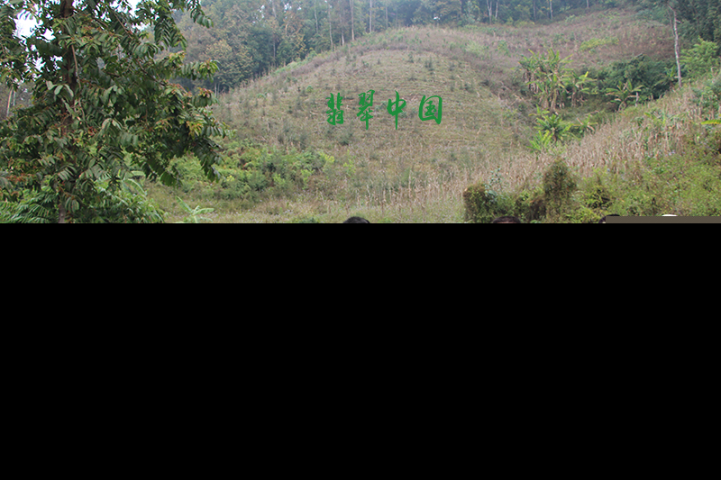 “情系保护区”瑞丽市文化企业2015新春公益活动举办  第6张