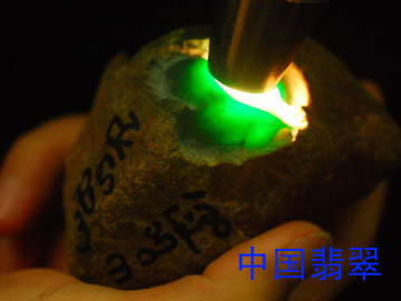 2011年中国翡翠会员翡翠原石交流与鉴赏组图一  第6张