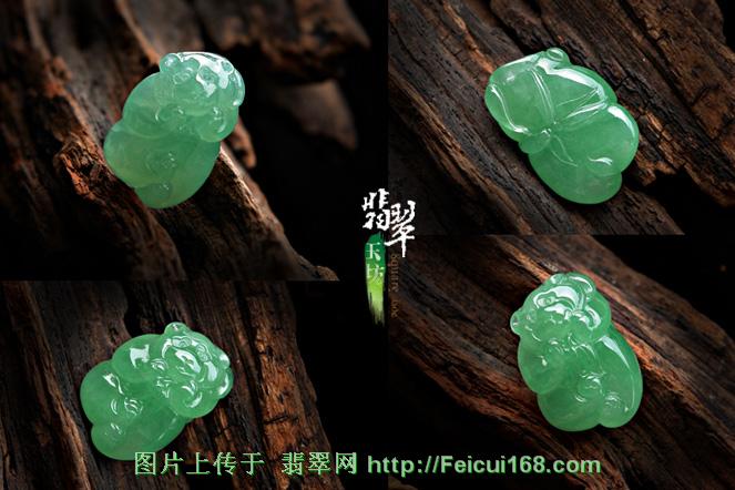 翡翠动物嘉年华（组图）  第8张