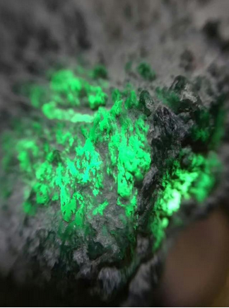 还没手掌大的墨翠原石，居然被万人争抢！为啥？  第7张