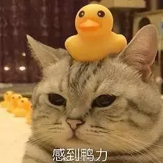 哪种绿翡翠手镯好如果矿物会说话——尖晶石  第12张