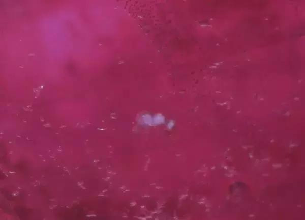 什么是冰种翡翠一般多少钱红宝石的内部特征你见过哪些？  第10张