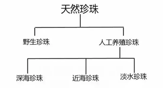 翡翠手镯像果冻珍珠的100种造型！不仅有圆的，还有爱心形、半圆形、像钻石的……  第9张