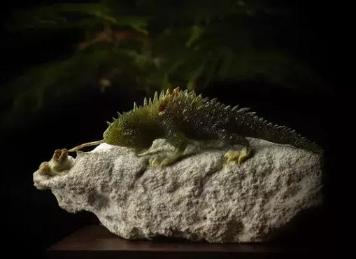 翡翠干青麻花手镯岫玉的这五个主要品种行情如何？  第3张