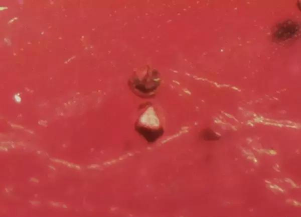 什么是冰种翡翠一般多少钱红宝石的内部特征你见过哪些？  第9张