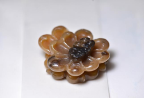 玩玉必读！14种和田玉的基本分类大全  第18张