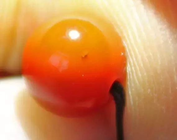 南红、北红、战国红，你能分得清吗？  第10张