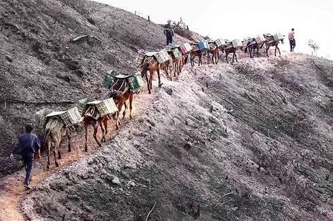 翡翠的前世今生与未来—翡翠的传承与流行  第14张