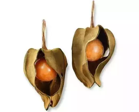 翡翠手镯像果冻珍珠的100种造型！不仅有圆的，还有爱心形、半圆形、像钻石的……  第14张