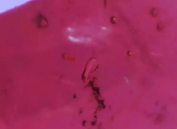 什么是冰种翡翠一般多少钱红宝石的内部特征你见过哪些？  第7张