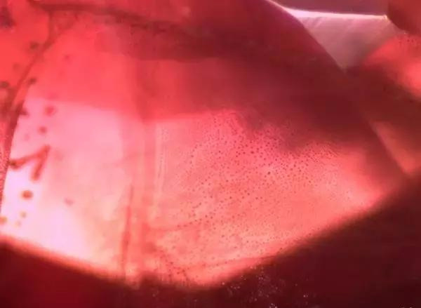 什么是冰种翡翠一般多少钱红宝石的内部特征你见过哪些？  第13张