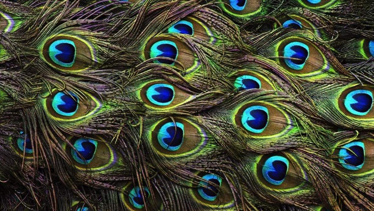 爆款大牌珠宝的宠儿-----孔雀石  第4张