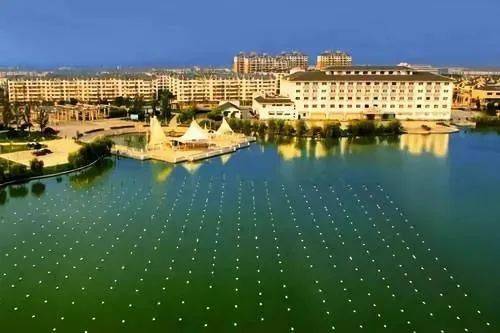 如何辨别翡翠的真假瞧不起淡水珍珠？一颗能卖240万！是时候为它正名了……  第5张