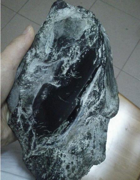 传说中的龙石种翡翠？  第1张