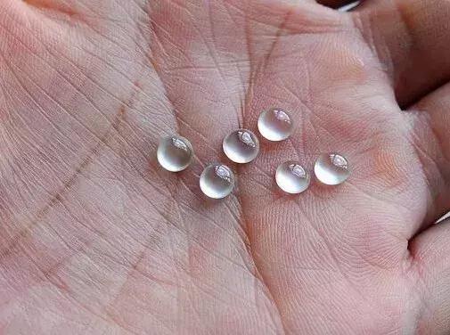 翡翠原石：各种翡翠价格，差别究竟在哪？  第8张