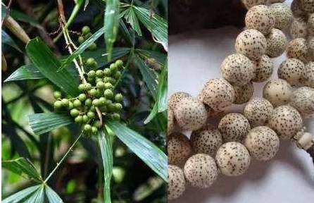 翡翠手镯掉到地上飙升6亿的极品鸡血石，万中无一，让人震惊！！  第4张