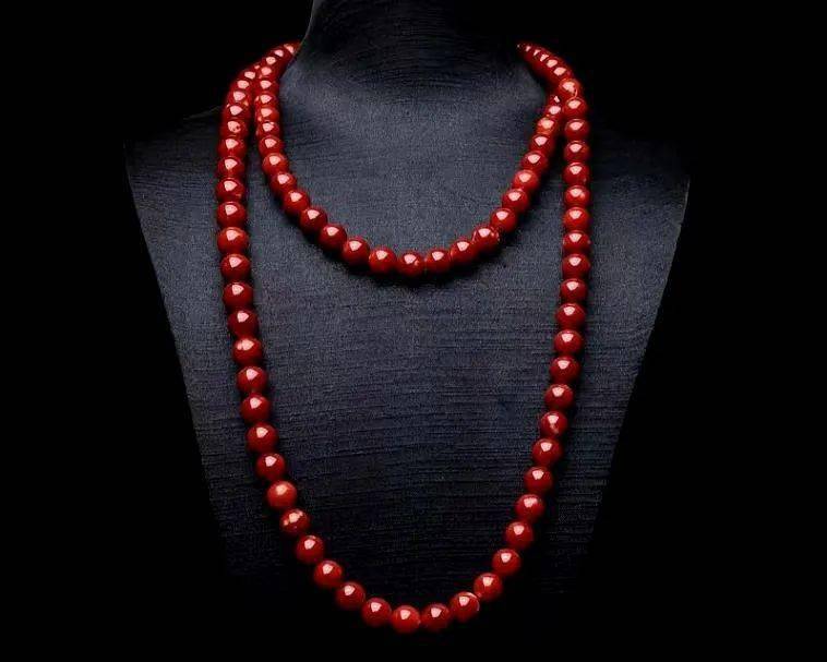 价格一路暴涨，红珊瑚有何魅力？  第3张